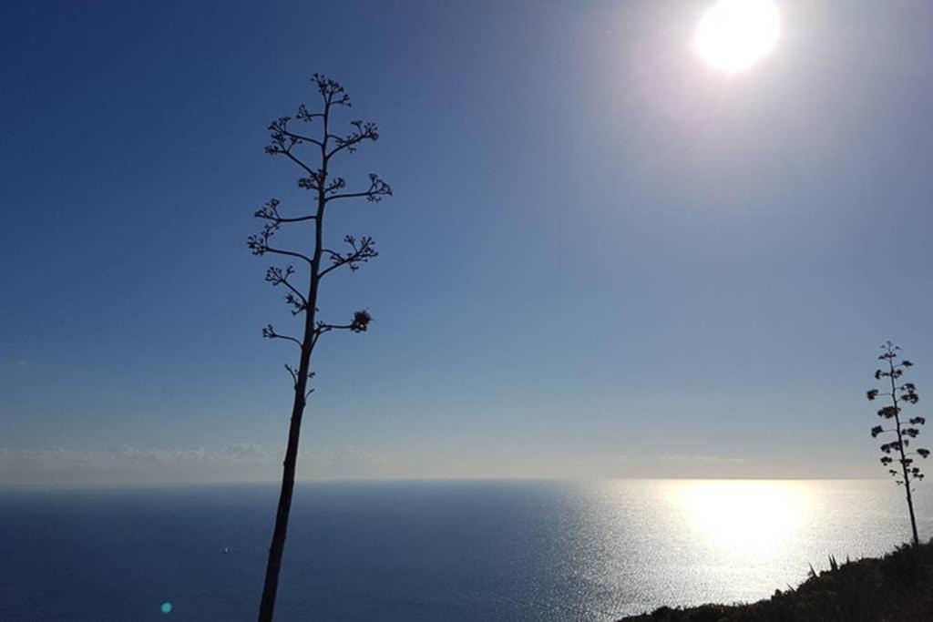 Suite Milù Cagliari Esterno foto